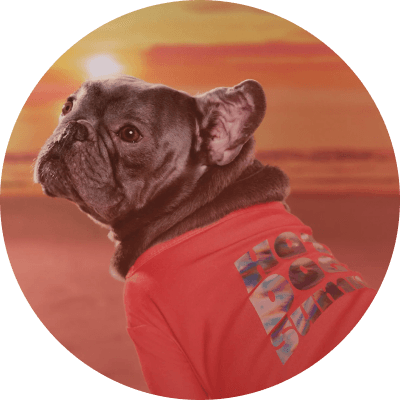 Dog.png