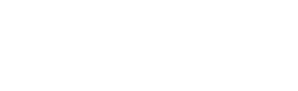 bravo-logo (1).png